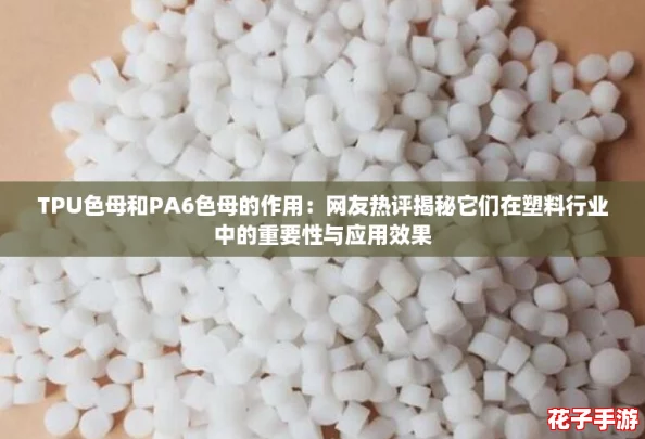 TPU色母和PA6色母的作用：网友热评揭秘它们在塑料行业中的重要性与应用效果