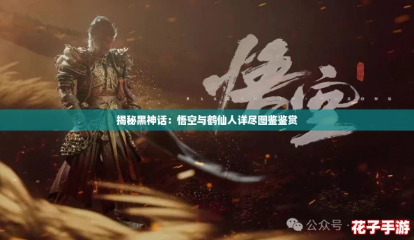 揭秘黑神话：悟空与鹤仙人详尽图鉴鉴赏