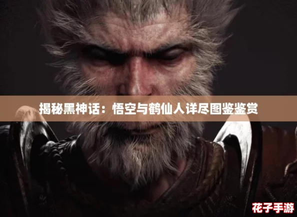 揭秘黑神话:悟空与鹤仙人详尽图鉴鉴赏 揭秘黑神话:悟空与鹤仙人详尽图鉴鉴赏