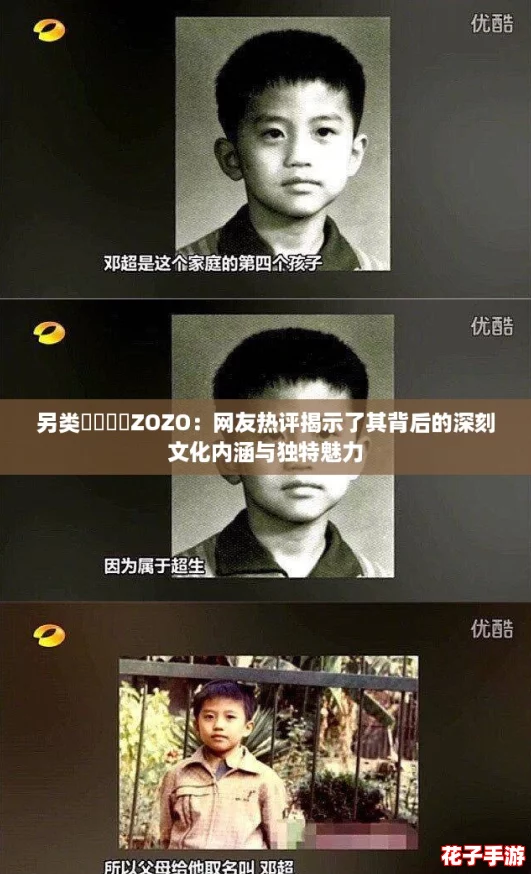 另类乄乄乄乄ZOZO：网友热评揭示了其背后的深刻文化内涵与独特魅力
