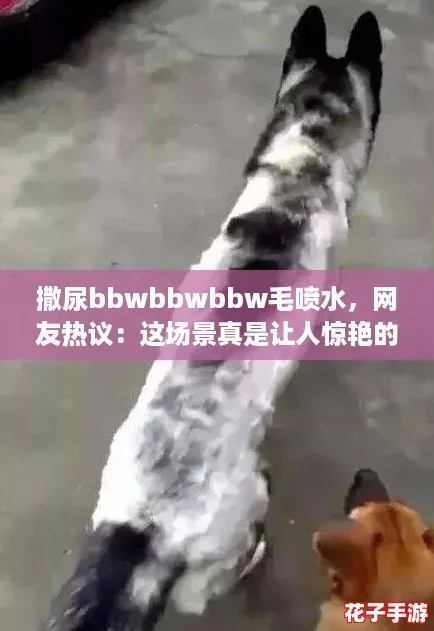 撒尿bbwbbwbbw毛喷水,网友热议:这场景真是让人惊艳的视觉盛宴! 撒尿bbwbbwbbw毛喷水,网友热议:这场景真是让人惊艳的视觉盛宴!
