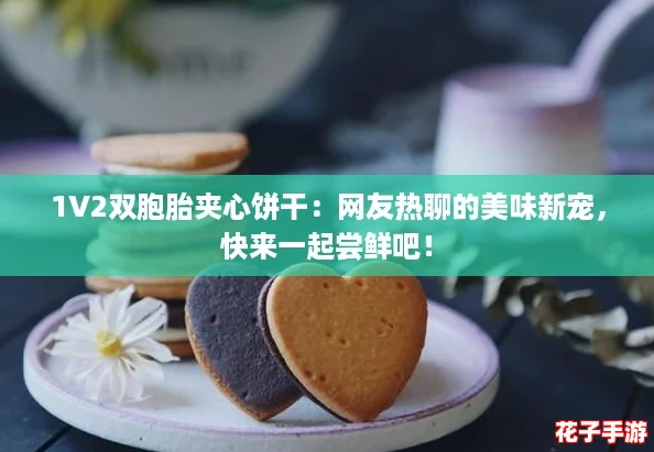 1V2双胞胎夹心饼干：网友热聊的美味新宠，快来一起尝鲜吧！