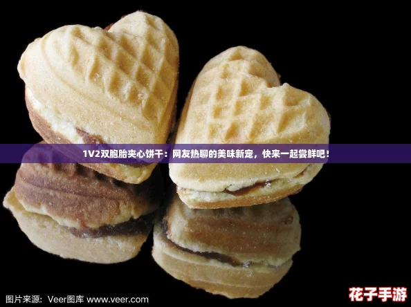1V2双胞胎夹心饼干:网友热聊的美味新宠,快来一起尝鲜吧! 1V2双胞胎夹心饼干:网友热聊的美味新宠,快来一起尝鲜吧!