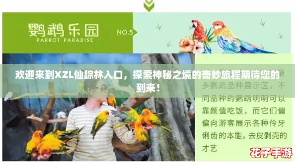 欢迎来到XZL仙踪林入口，探索神秘之境的奇妙旅程期待您的到来！