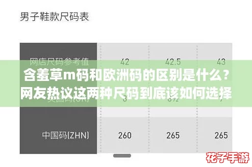 含羞草m码和欧洲码的区别是什么?网友热议这两种尺码到底该如何选择! 含羞草m码和欧洲码的区别是什么?网友热议这两种尺码到底该如何选择!