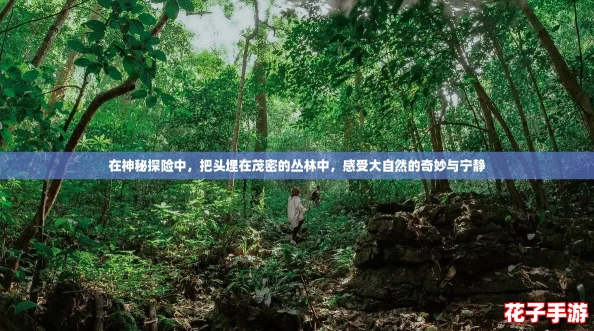在神秘探险中，把头埋在茂密的丛林中，感受大自然的奇妙与宁静
