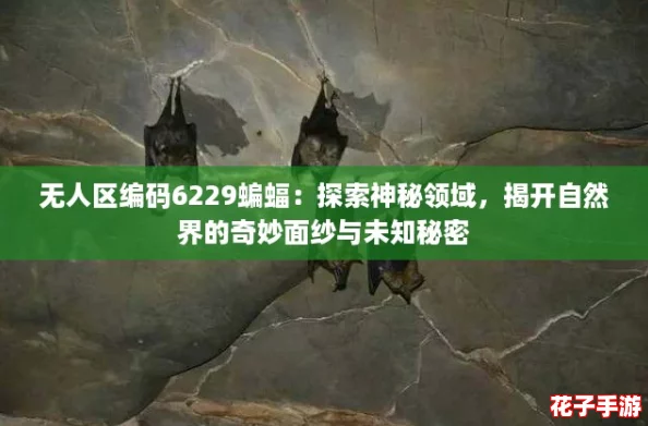 无人区编码6229蝙蝠：探索神秘领域，揭开自然界的奇妙面纱与未知秘密