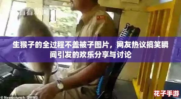 生猴子的全过程不盖被子图片,网友热议搞笑瞬间引发的欢乐分享与讨论 生猴子的全过程不盖被子图片,网友热议搞笑瞬间引发的欢乐分享与讨论