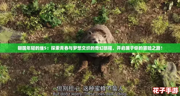 朝国年轻的继5：探索青春与梦想交织的奇幻旅程，开启属于你的冒险之路！