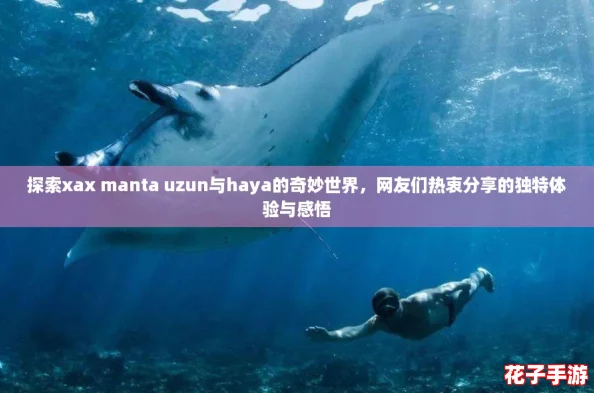 探索xax manta uzun与haya的奇妙世界，网友们热衷分享的独特体验与感悟