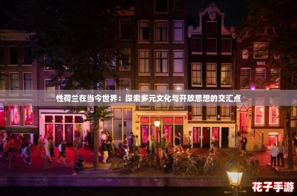 性荷兰在当今世界：探索多元文化与开放思想的交汇点