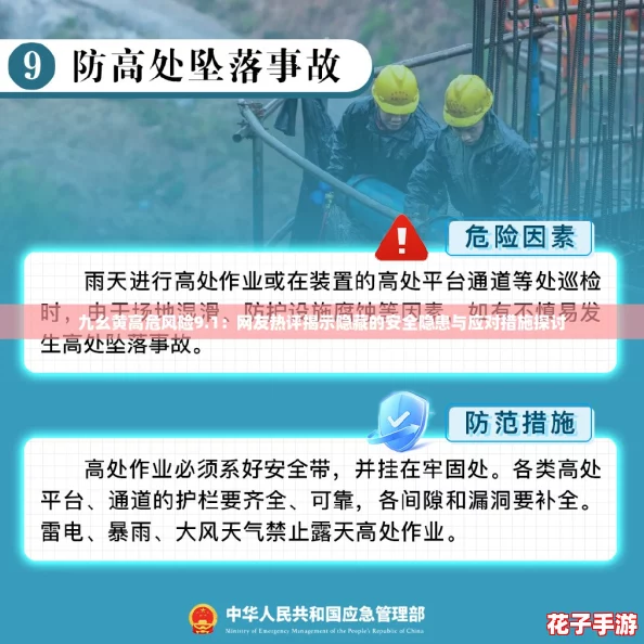 九幺黄高危风险9.1：网友热评揭示隐藏的安全隐患与应对措施探讨