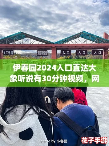 伊春园2024入口直达大象听说有30分钟视频，网友热聊：真相揭秘！