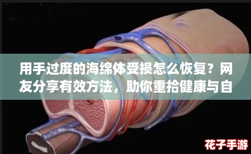 用手过度的海绵体受损怎么恢复？网友分享有效方法，助你重拾健康与自信！