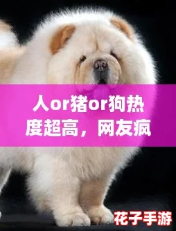人or猪or狗热度超高，网友疯狂追捧的可爱宠物排行榜揭晓，你最喜欢哪一只？