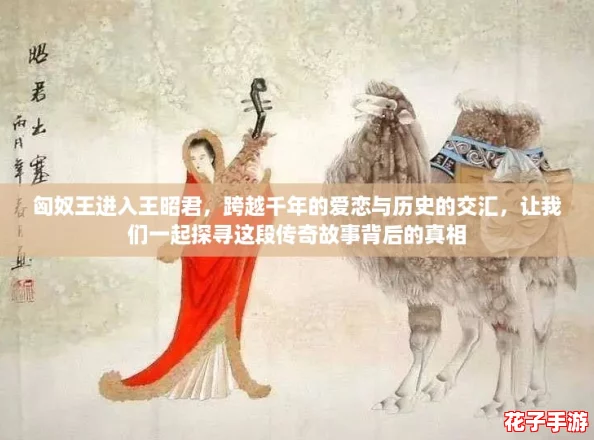 匈奴王进入王昭君，跨越千年的爱恋与历史的交汇，让我们一起探寻这段传奇故事背后的真相