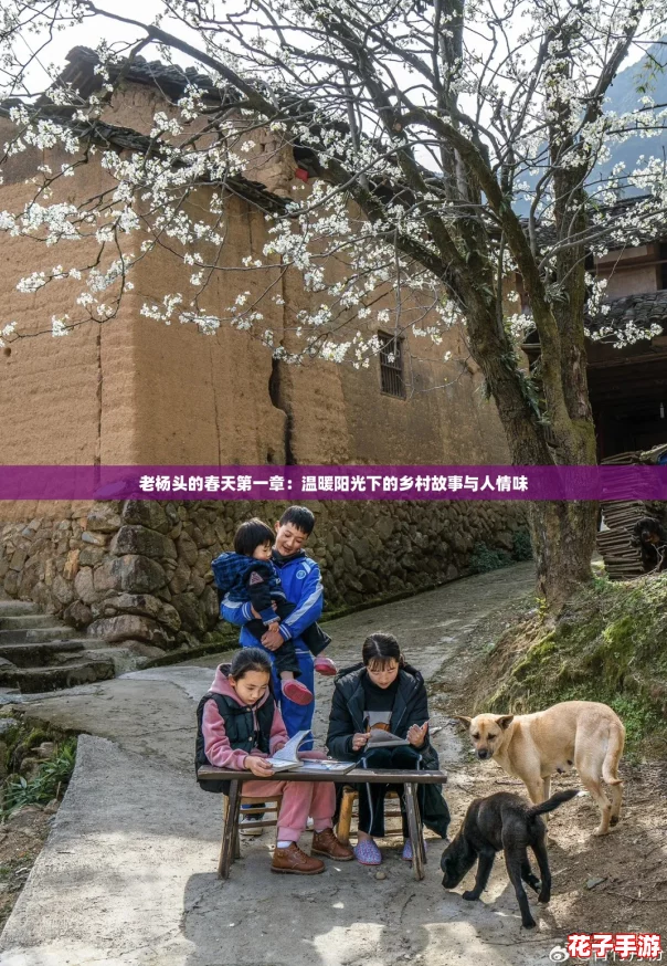 老杨头的春天第一章:温暖阳光下的乡村故事与人情味 老杨头的春天第一章:温暖阳光下的乡村故事与人情味
