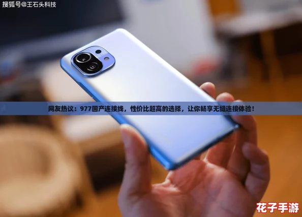 网友热议：977国产连接线，性价比超高的选择，让你畅享无缝连接体验！