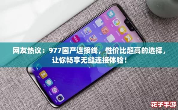 网友热议：977国产连接线，性价比超高的选择，让你畅享无缝连接体验！