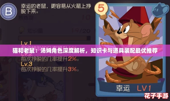 猫和老鼠：汤姆角色深度解析，知识卡与道具装配最优推荐