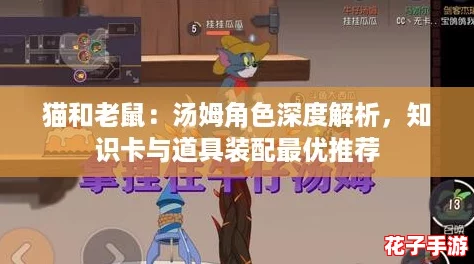猫和老鼠：汤姆角色深度解析，知识卡与道具装配最优推荐