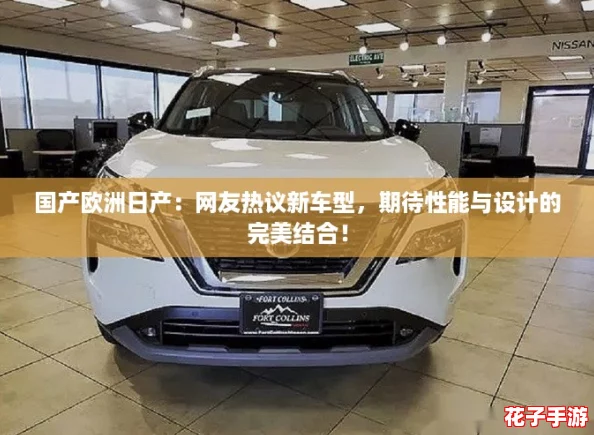 国产欧洲日产：网友热议新车型，期待性能与设计的完美结合！