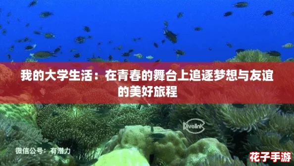 我的大学生活：在青春的舞台上追逐梦想与友谊的美好旅程