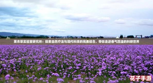 薰衣草实验室研究所：探索自然疗法与现代科技的完美结合，带你走进香气四溢的科研世界