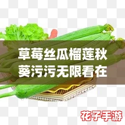 草莓丝瓜榴莲秋葵污污无限看在线下，网友热爱分享的美食与趣味视频合集！