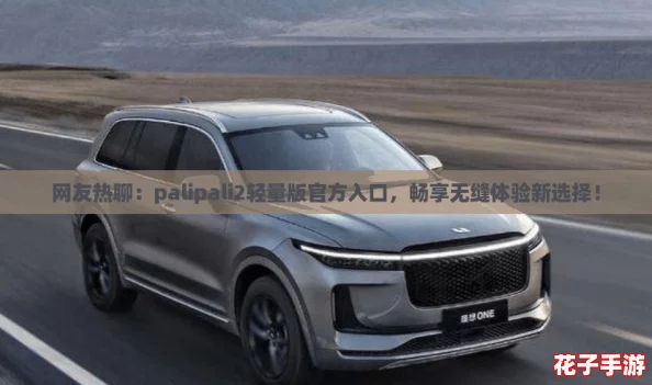 网友热聊：palipali2轻量版官方入口，畅享无缝体验新选择！