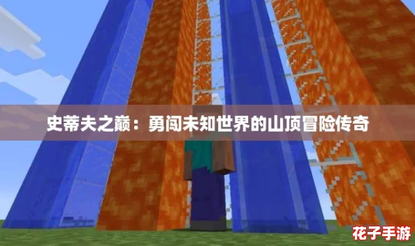 史蒂夫之巅：勇闯未知世界的山顶冒险传奇