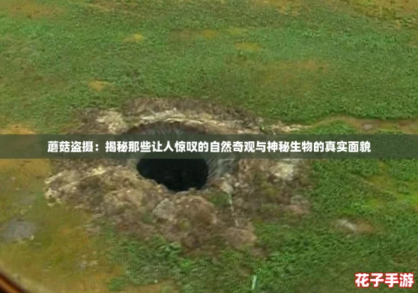 蘑菇盗摄：揭秘那些让人惊叹的自然奇观与神秘生物的真实面貌