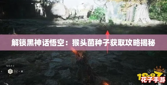 解锁黑神话悟空:猴头菌种子获取攻略揭秘 解锁黑神话悟空:猴头菌种子获取攻略揭秘