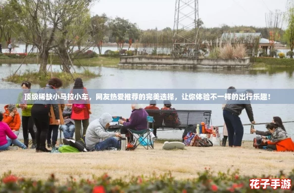 顶级稀缺小马拉小车，网友热爱推荐的完美选择，让你体验不一样的出行乐趣！