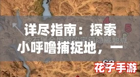 详尽指南：探索小呼噜捕捉地，一起来捉妖中分布与抓取技巧大全