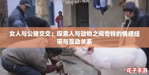 女人与公猪交交：探索人与动物之间奇特的情感纽带与互动关系