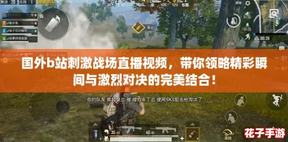 国外b站刺激战场直播视频，带你领略精彩瞬间与激烈对决的完美结合！