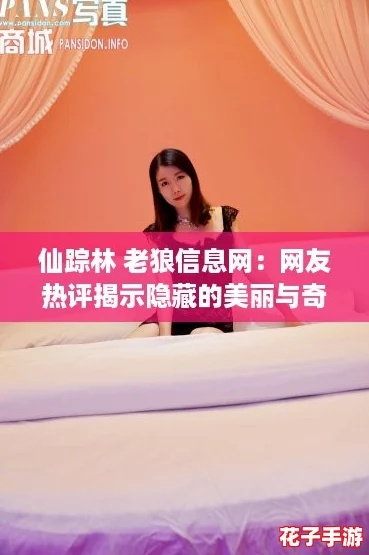 仙踪林 老狼信息网：网友热评揭示隐藏的美丽与奇幻精彩