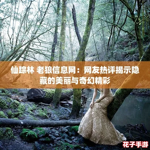 仙踪林 老狼信息网：网友热评揭示隐藏的美丽与奇幻精彩