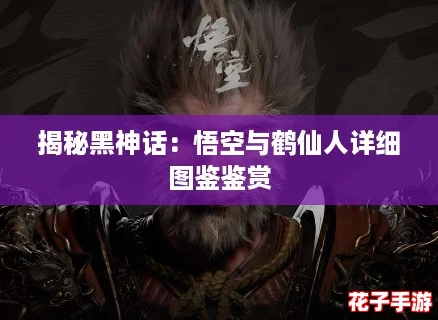 揭秘黑神话：悟空与鹤仙人详细图鉴鉴赏