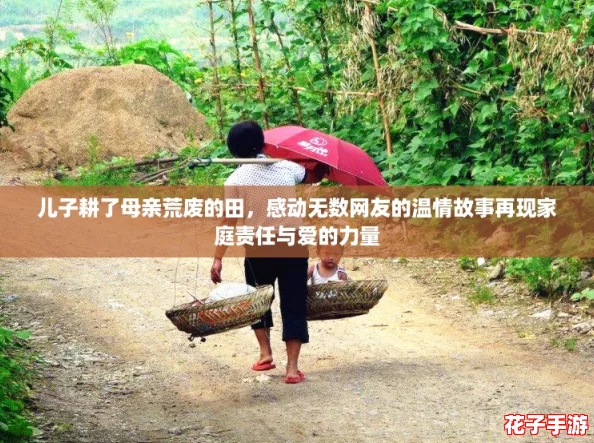 儿子耕了母亲荒废的田，感动无数网友的温情故事再现家庭责任与爱的力量