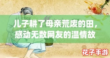 儿子耕了母亲荒废的田，感动无数网友的温情故事再现家庭责任与爱的力量