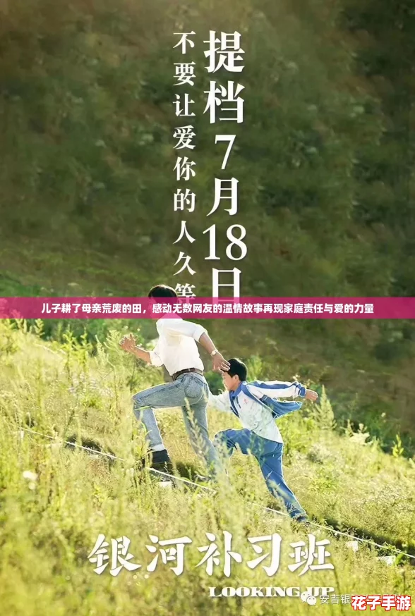 儿子耕了母亲荒废的田，感动无数网友的温情故事再现家庭责任与爱的力量