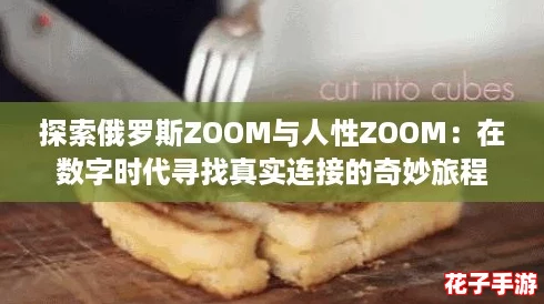 探索俄罗斯ZOOM与人性ZOOM：在数字时代寻找真实连接的奇妙旅程