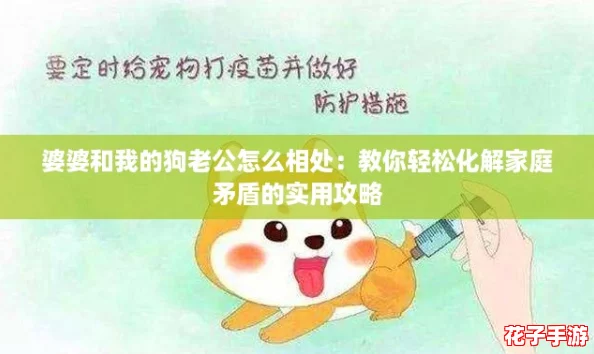婆婆和我的狗老公怎么相处：教你轻松化解家庭矛盾的实用攻略
