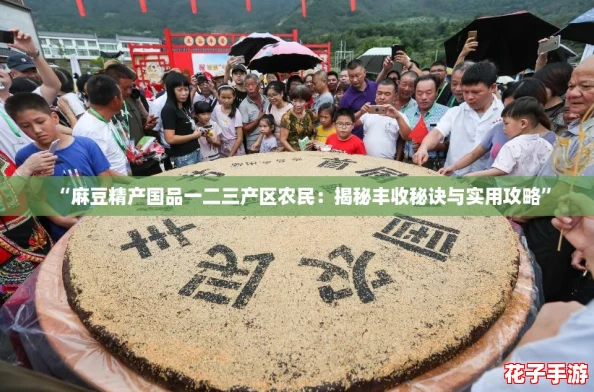 “麻豆精产国品一二三产区农民：揭秘丰收秘诀与实用攻略”