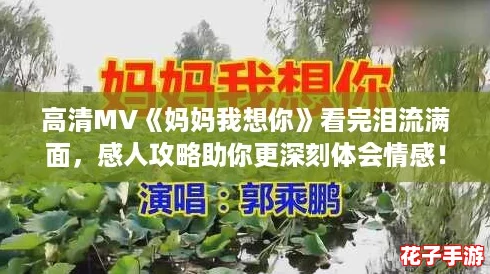 高清MV《妈妈我想你》看完泪流满面，感人攻略助你更深刻体会情感！