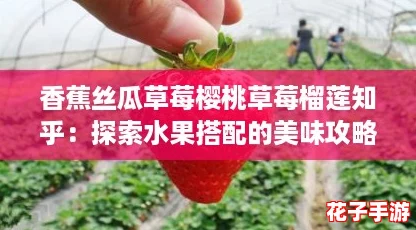 香蕉丝瓜草莓樱桃草莓榴莲知乎：探索水果搭配的美味攻略与健康秘籍！