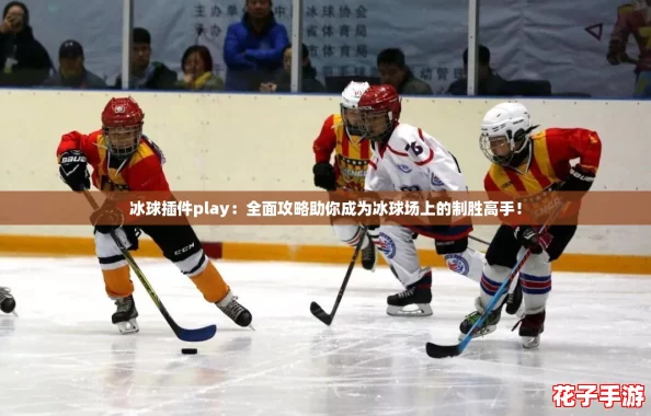 冰球插件play：全面攻略助你成为冰球场上的制胜高手！