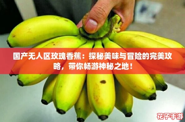 国产无人区玫瑰香蕉：探秘美味与冒险的完美攻略，带你畅游神秘之地！